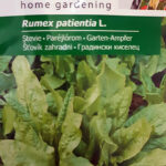 Paréjlórom (Rumex patientia) - 0,5 g