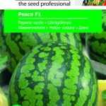 Görögdinnye, Peace F1 - 10 szem