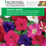 Petúnia színkeverék, Petunia x hybrida - 1,5 g