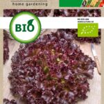 Bio saláta, Red Salad Bowl 2 g