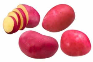 Red Scarlett 50 szem - 1000 g