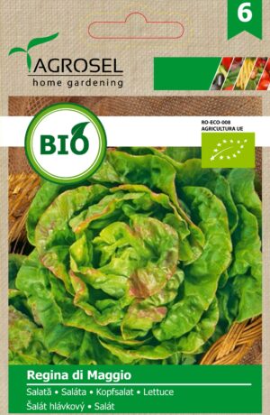 Bio saláta, Regina di Maggio 2,5 g