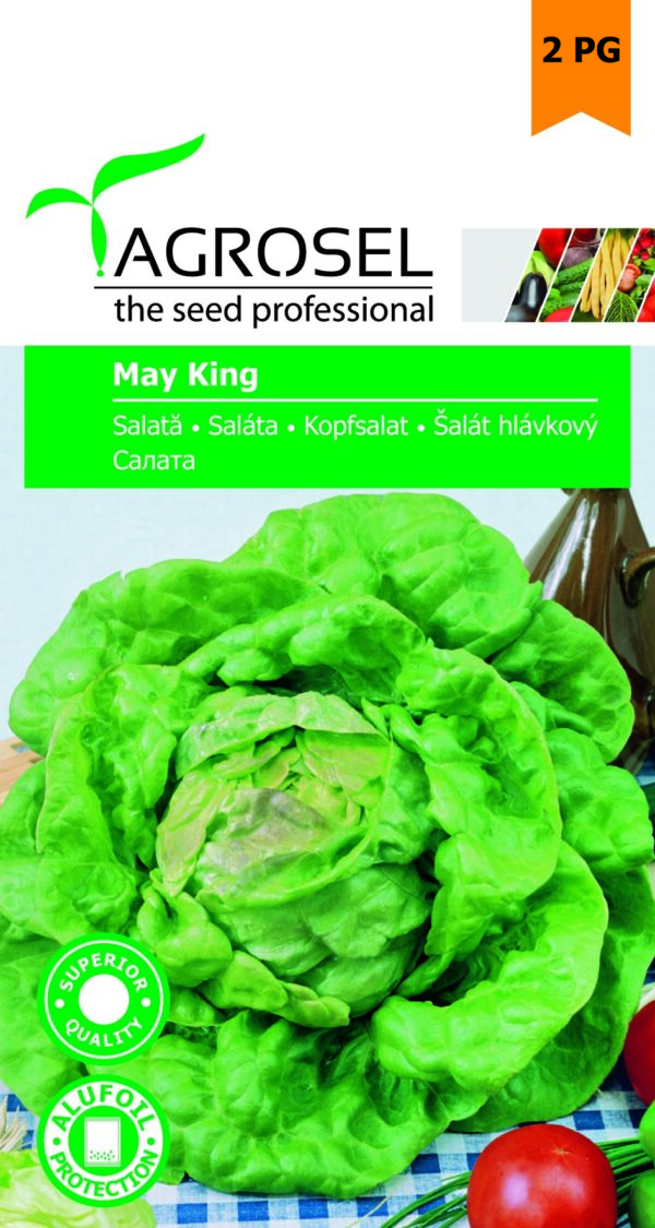 Saláta, May King - 4 g