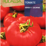 Paradicsom, Salomone F1 - 0,1 g