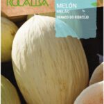 Sárgadinnye, Branco do Ribatejo  - 10 g