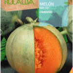 Sárgadinnye, Charentais - 6 g