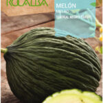 Sárgadinnye, Tendral Negro Tardio - 10 g