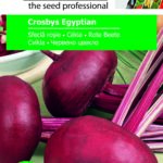 Cékla, Crosbys Egyptian - 4 g