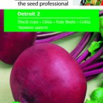 Cékla, Detroit 2 - 4 g