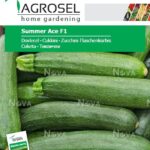 Cukkini, Summer Ace F1 - 10 szem