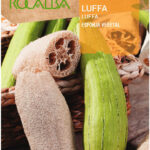 Szivacstök, Luffa - 3 g
