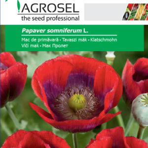 Tavaszi mák, Papaver somniferum L. - 1 g