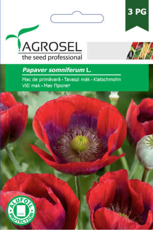 Tavaszi mák, Papaver somniferum L. 1 g