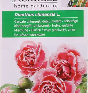 Teltvirágú kínai szegfű színkeverék, Dianthus chinensis L. - 1 g - 1 g
