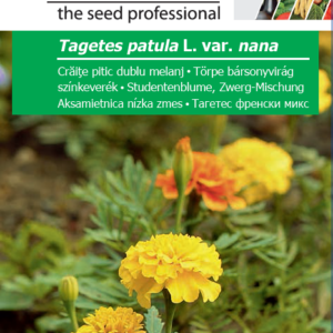 Törpe bársonyvirág színkeverék, Tagetes patula L. var. nana - 1,g