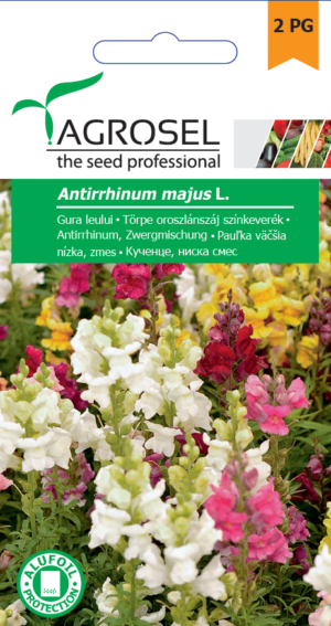 Törpe oroszlánszáj színkeverék, Antirrhinum majus L. - 0,7 g