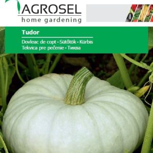 Sütőtök, Tudor - 5 g
