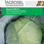 Káposzta, Beverly Hills F1 ~ 200 szem