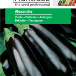 Padlizsán, Alexandra - 0,8 g