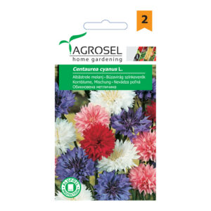 Búzavirág színkeverék, Centaurea cyanus L. - 2 g