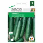 Salátauborka, Colosseum F1 - 20 szem