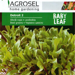 Levélcékla (Baby Leaf), Detroit 2 - 5 g