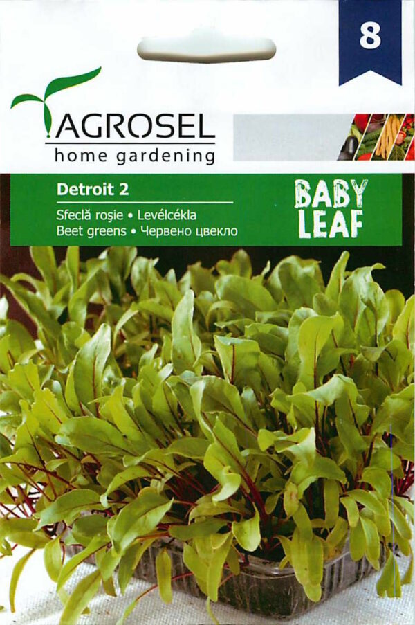 Levélcékla (Baby Leaf), Detroit 2 - 5 g