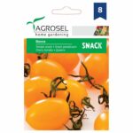 Snack paradicsom, Dorca - 35 szem