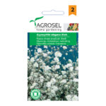 Évelő fátyolvirág, Gypsophila elegans Bieb. - 1 g