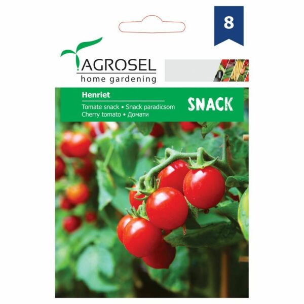 Snack paradicsom, Henriet 35 szem