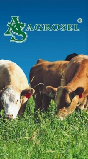 Agrosel kaszáló keverék 10 kg
