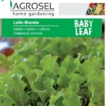 Saláta (Baby Leaf), Lollo Bionda - 5 g