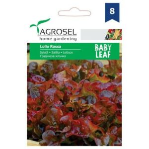 Saláta (Baby Leaf), Lollo Rossa - 5 g