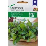 Mángold (Baby Leaf) - 4 g