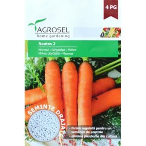 Drazsírozott sárgarépa, Nantes 2 ~ 500 szem