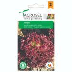 Saláta, Odagiu - 1,5 g