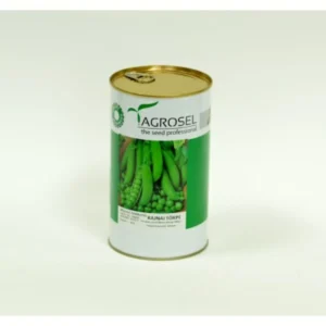 Zöldborsó, Rajnai törpe - 500 g