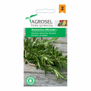 Rozmaring, Rosmarinus officinalis L. 0,1 g