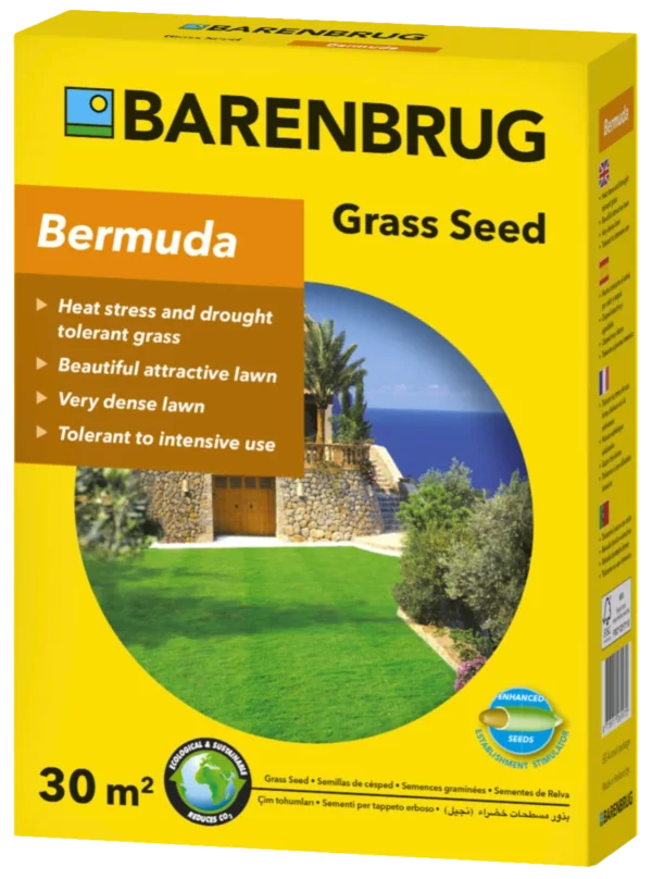 Barenbrug bermuda csillagpázsit 0,5 kg