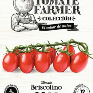 Paradicsom, Briscolino 8 szem