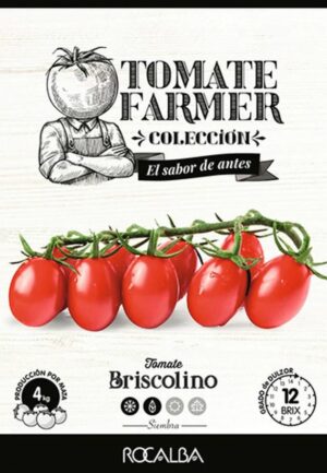 Paradicsom, Briscolino 8 szem