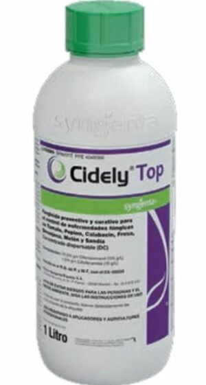 Cidely Top 1 l