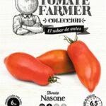 Paradicsom Farmer, Nasone - 10 szem