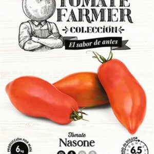Paradicsom, Nasone 10 szem