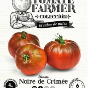 Paradicsom, Noire de Crimée 20 szem