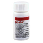 Scala 20 ml