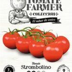 Paradicsom Farmer, Strombolino - 15 szem