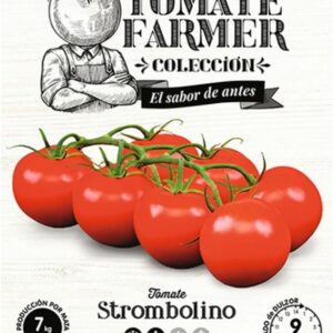 Paradicsom, Strombolino 15 szem