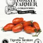 Paradicsom Farmer, Tigrella bicolore - 8 szem
