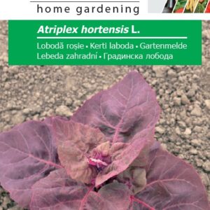 Kerti laboda - 0,5 g